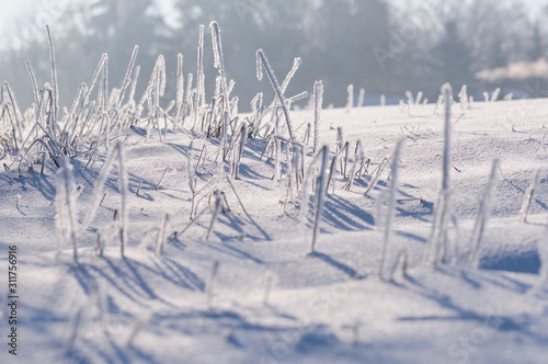 Beautiful frozen grass with ice cristals on a snow covered field on a cold winter morning. Seen in Bavaria, Germany in February.