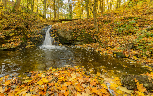 waterfall over rocks surrounded with colored autumn leaves