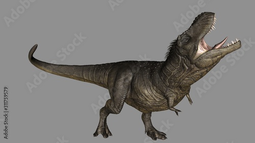 tiranossauro rex pose 1 © Mouracy