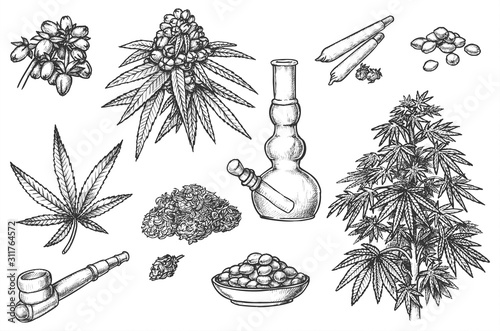 Set of sketches for marijuana items, hemp leaves