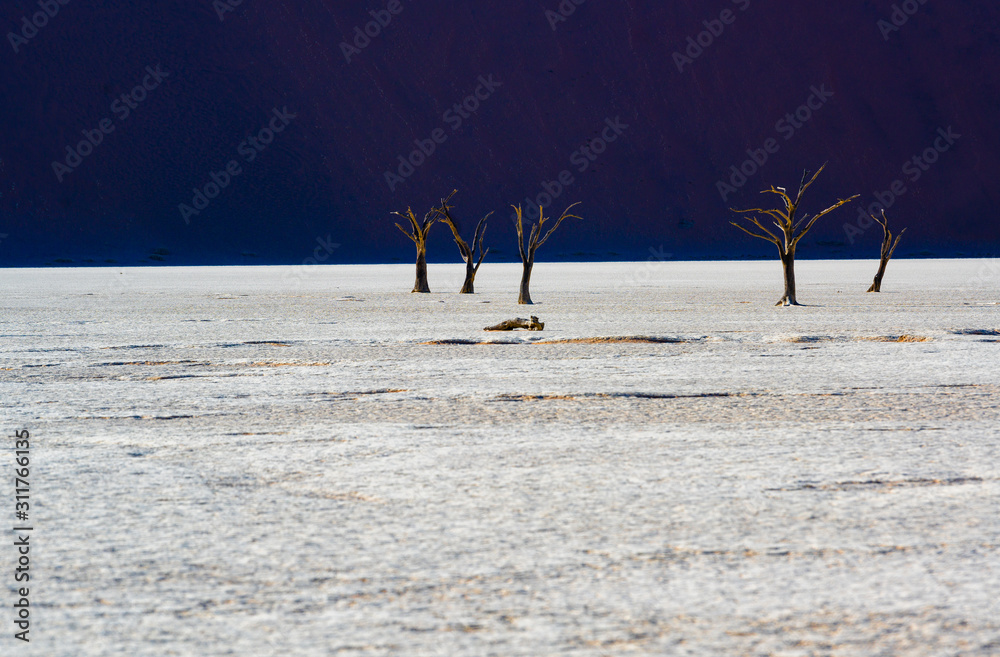 Die Farben der Wüste im Deadvlei: Die Düne Big Daddy wirkt im Schatten violett, Sesriem, Namibia