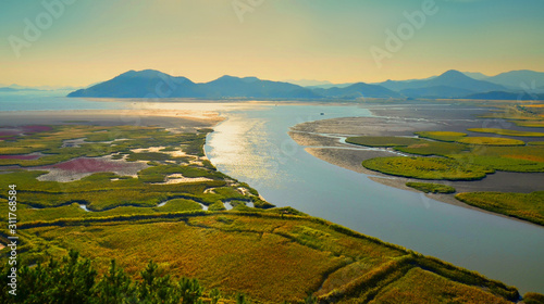 Suncheon bay natural reserve, South Korea photo