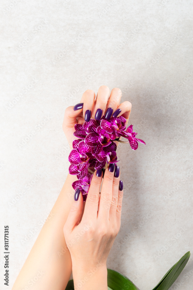 Fototapeta premium Stylish trendy purple female manicure. Woman hands are holding orchid flowers