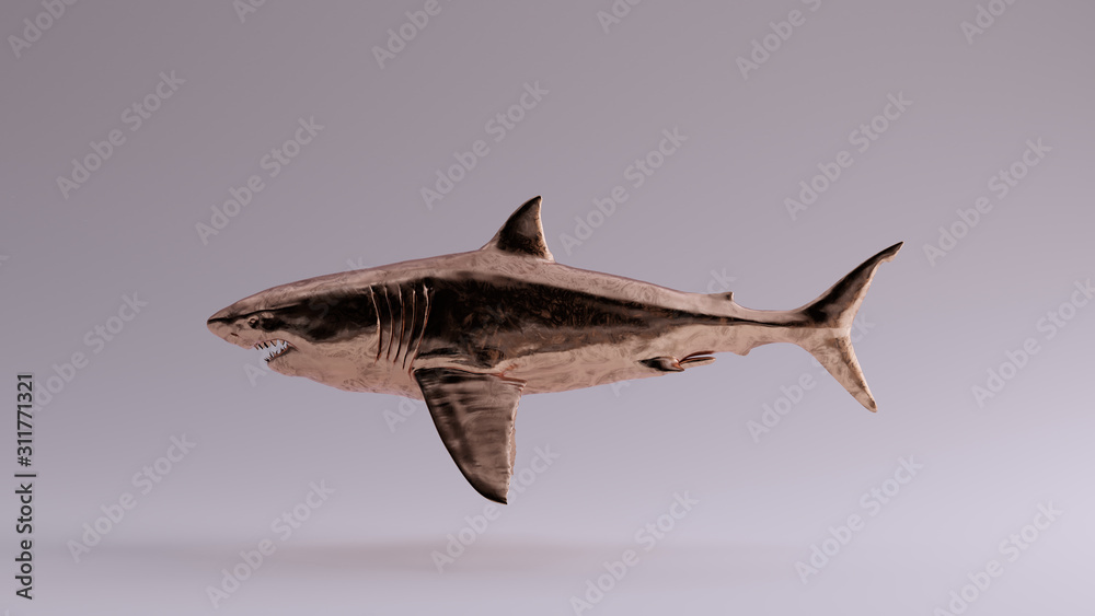 Obraz premium Bronze Great White Shark 3d illustration 3d render 