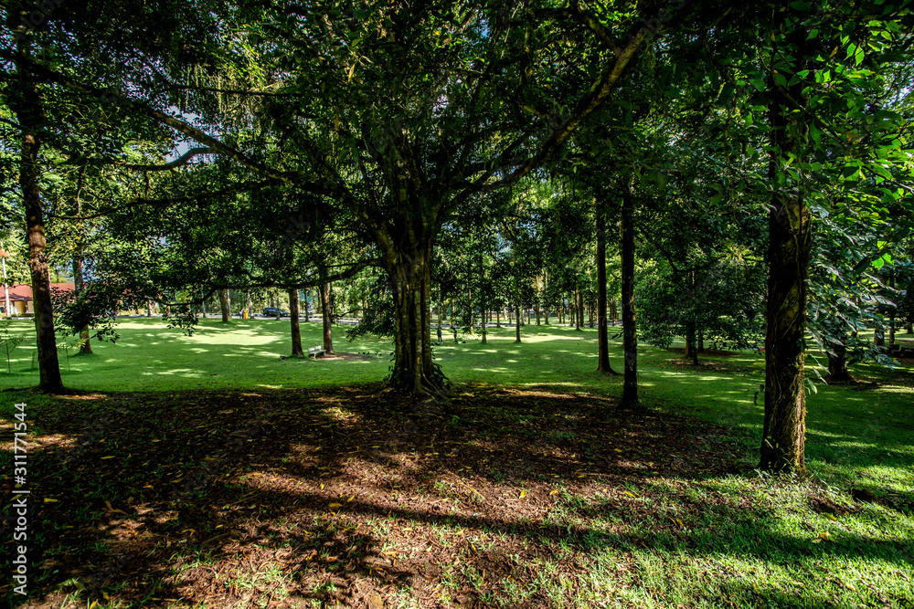 Naklejka premium A beautiful view of nature in Bali, Indonesia.