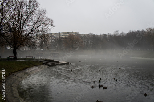 Fog above a lake in a park in a city.