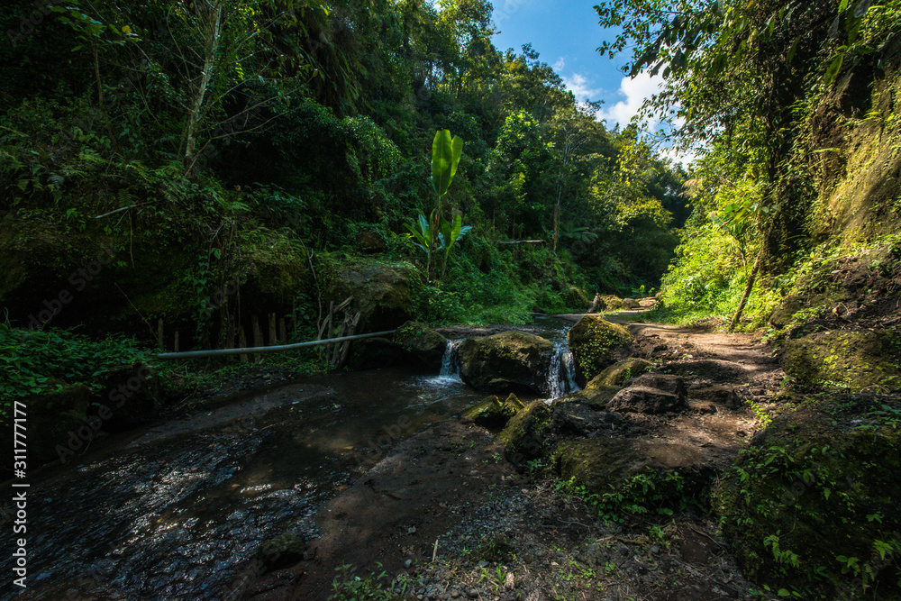 A beautiful view of waterfall in Bali, Indonesia. A beautiful view of waterfall in Bali, Indonesia.