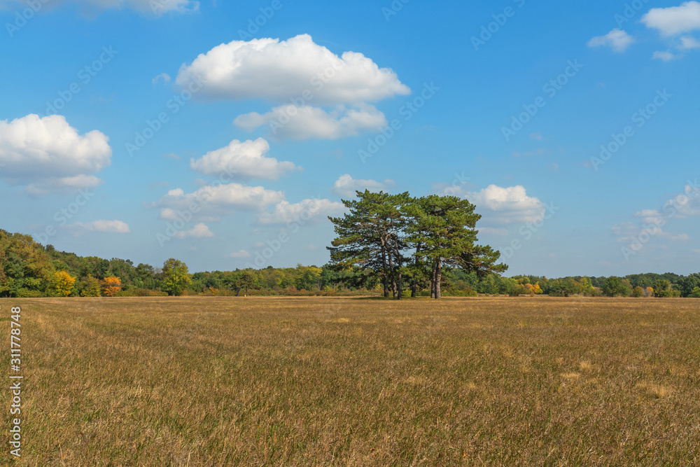 Steppe autumn natural landscape view. Askania-Nova is a biosphere reserve (sanctuary) located in Kherson region, Ukraine. Steppe autumn natural landscape view. Askania-Nova is a biosphere reserve (sanctuary) located in Kherson region, Ukraine.