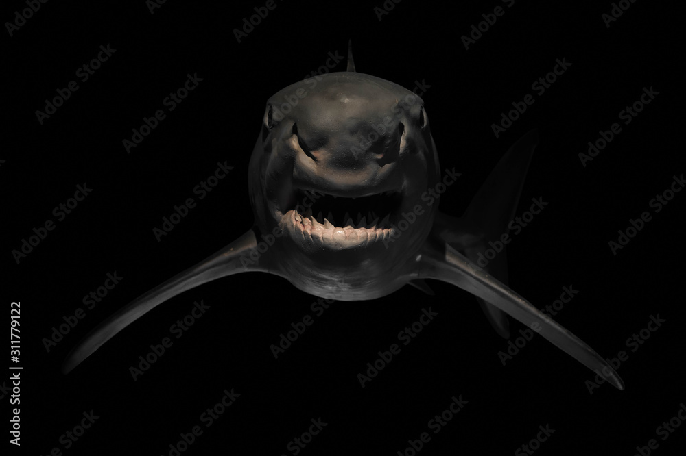 Angry shark with sharp teeth Stock Photo | Adobe Stock