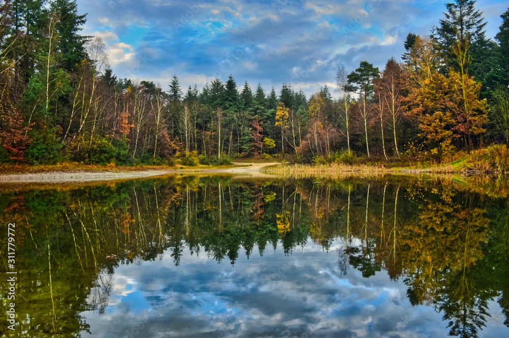 Fototapeta premium Waldsee