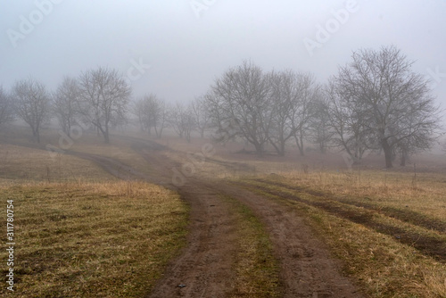 Dark foggy autumn countriside view with road in morning