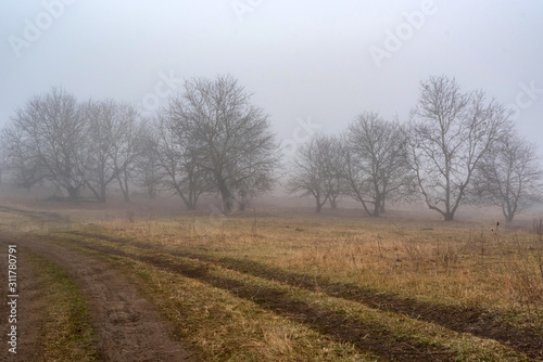 Dark foggy autumn countriside view with road in morning