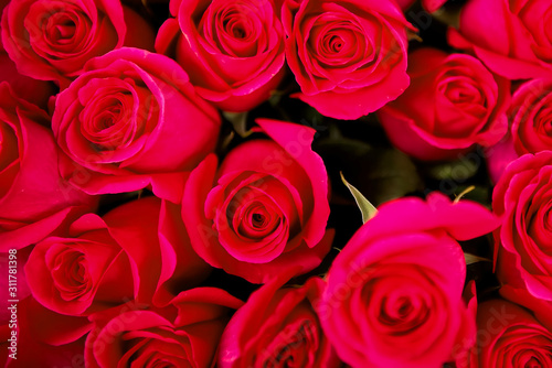 Closeup of bouquet of red roses. Best flowers in Valentine s day. Valentine s day background. Flowers for love. Best present for woman are flowers