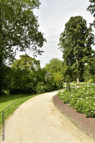 Fototapeta Naklejka Na Ścianę i Meble -  Chemin en gravier fin traversant la végétation luxuriante du domaine Coloma à St-Pieter-Leeuw 