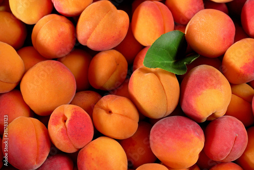 Heap of fresh apricots with one green leaf, closeup detail photo from above photo