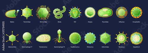 Viruses Educative Set  photo