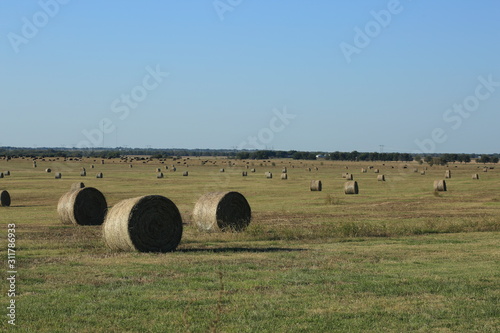 Texas quiet moment, perfect for imagination to kick in