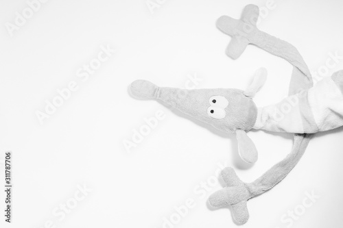 Toy mouse on a white background.