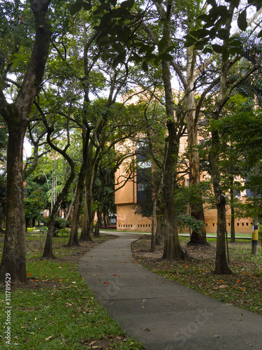 Parque en El Barrio conquistadores en Medellin con arboles y caminos para disfrutar al aire libre