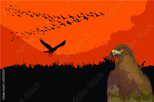 Flying birds. Sunset nature background. Vector image.