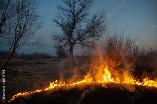 Field fire night © iuneWind