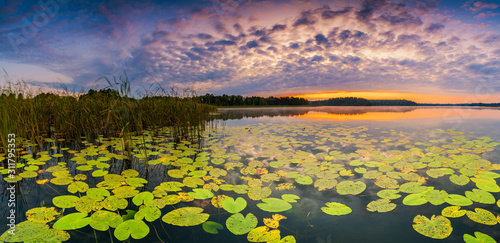 Fototapeta Naklejka Na Ścianę i Meble -  Panorama of beautiful sunrise over lake
