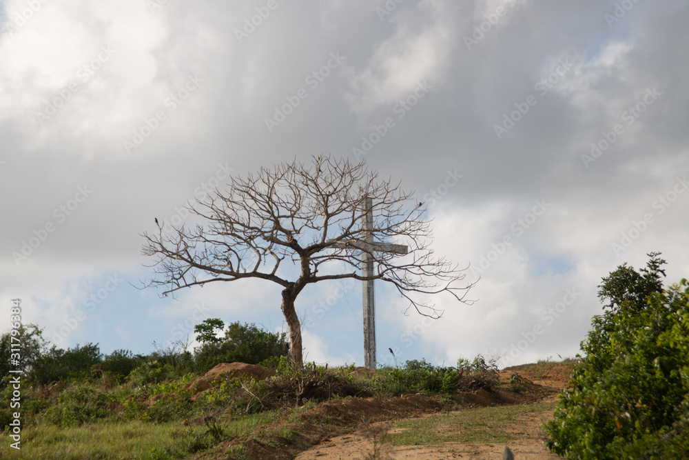 Tree and cross