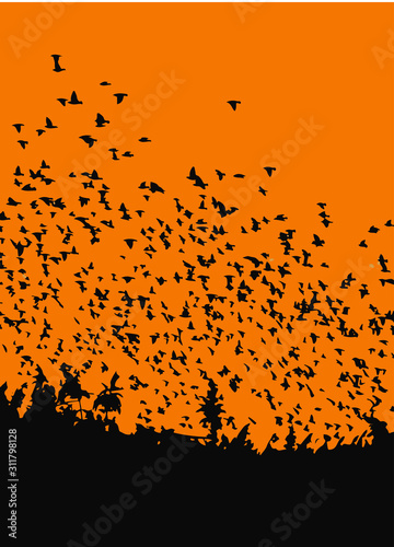 Flying birds. Sunset nature background. Vector image.