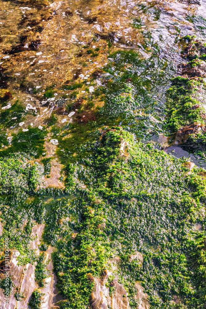 Fototapeta premium abstract rock grunge background texture