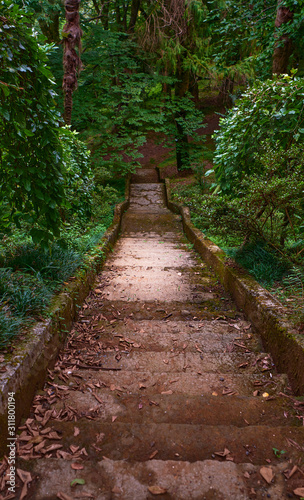 abandoned stone staircase leading down to the park