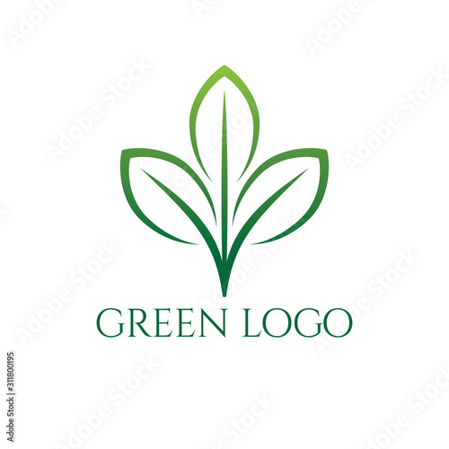 herbal leaf tea green organic beauty supplement vitamin vector logo design