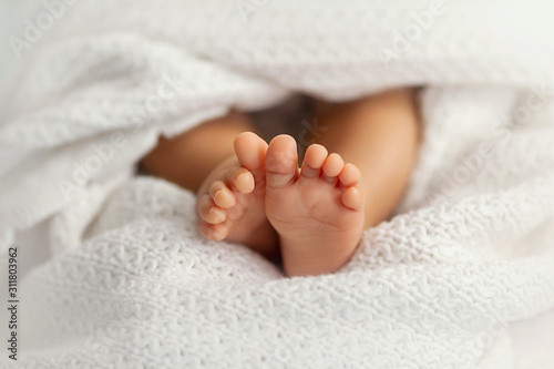 Adorable baby feet covered in a white blanket, maternity and babyhood concept photo