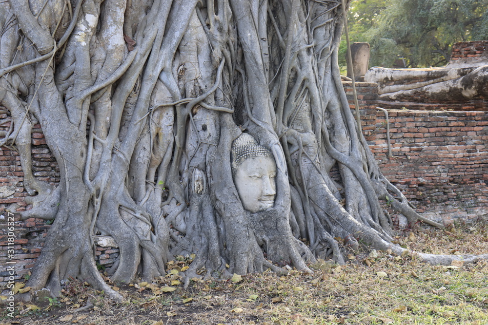 A beautiful view of buddhist temple in Ayutthaya, Thailand. A beautiful view of buddhist temple in Ayutthaya, Thailand.
