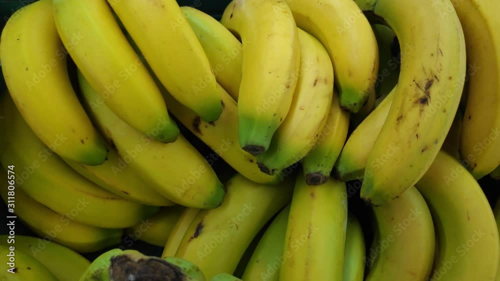 bunch of bananas bunch of bananas
