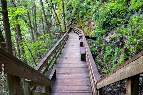 Hemlock Falls Trail, Cloudland Canyon State Park, Georgia, USA 