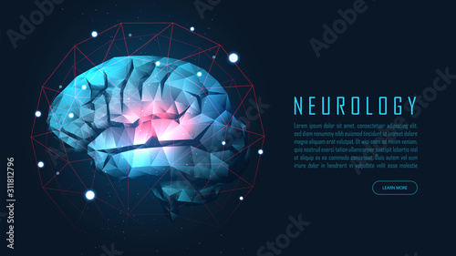 Human brain health photo