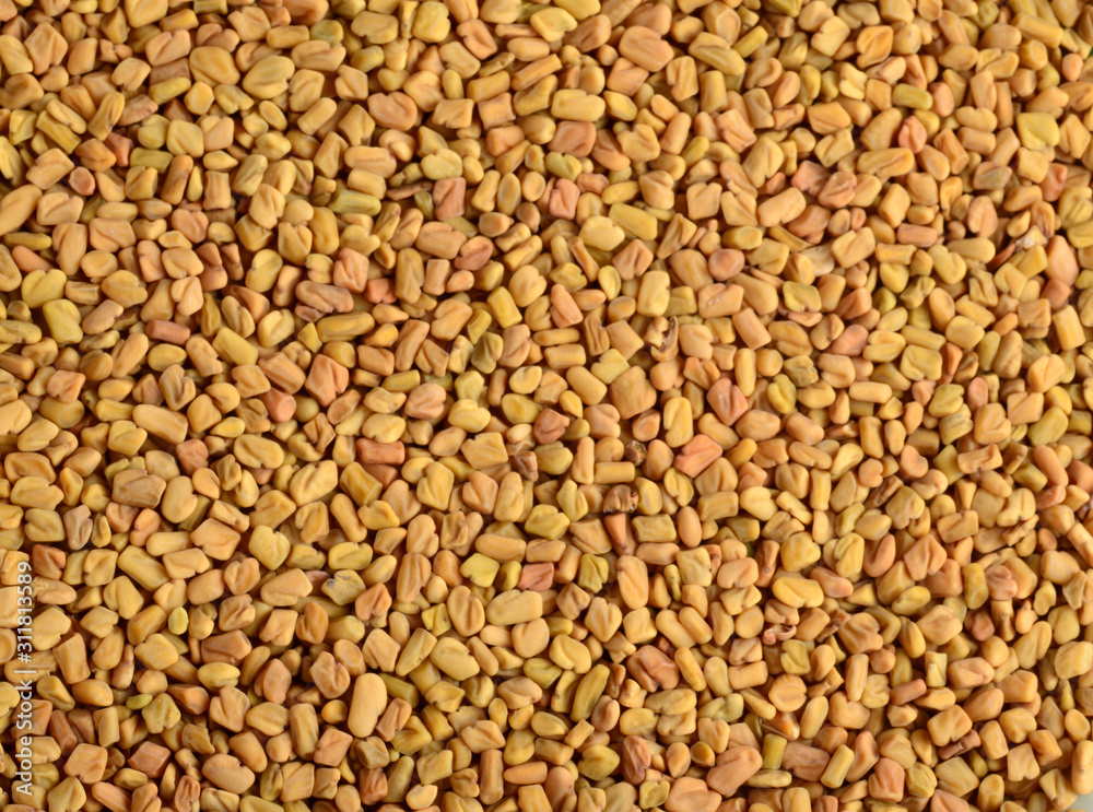 Fenugreek seeds as background. Close up texture Fenugreek seeds as background. Close up texture
