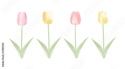 チューリップ 花 春 一輪 イラスト Stock Vector Adobe Stock