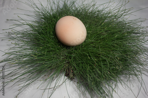 a white egg with the green grass as the background isolated on white background photo