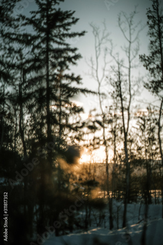 Blur forest in winter sunset