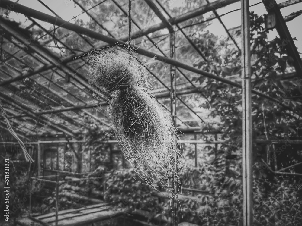 Fototapeta premium occult and magical objects - a bundle of hair and a cross from.branches.