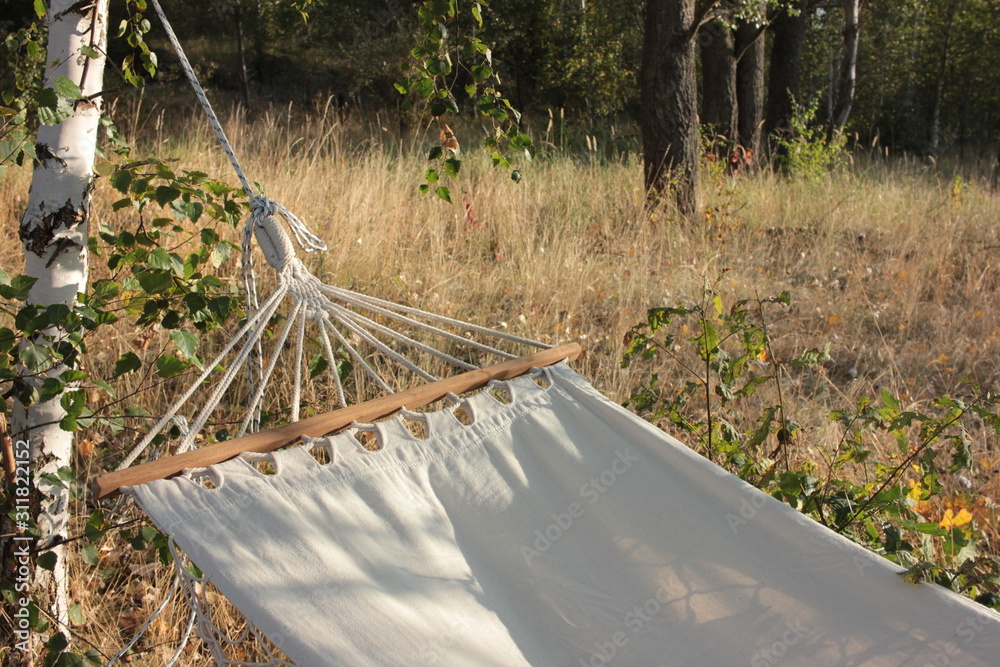Closeup of white canvas hammock hanging on birch tree in autumn forest.  Relaxing outdoor vacation. Picnic background Stock Photo | Adobe Stock