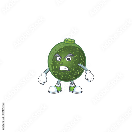 Picture of gem squash cartoon character with angry face