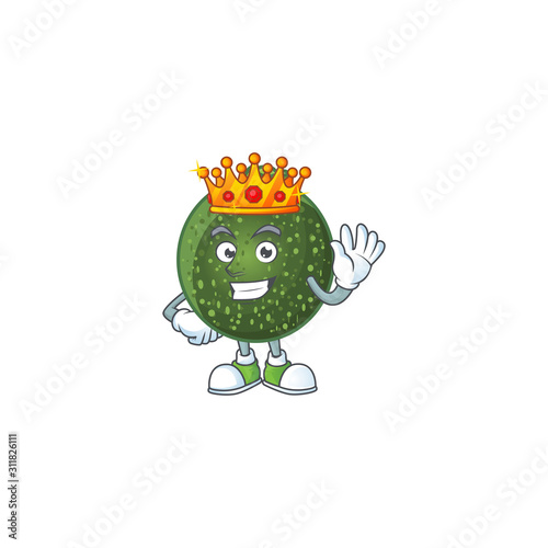 Cool King of gem squash on cartoon character style
