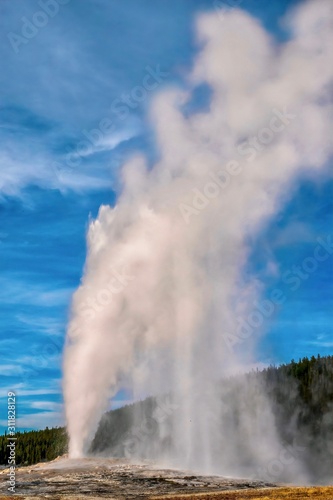 A vertical image of Old Faithful erupting at Yellowstone.