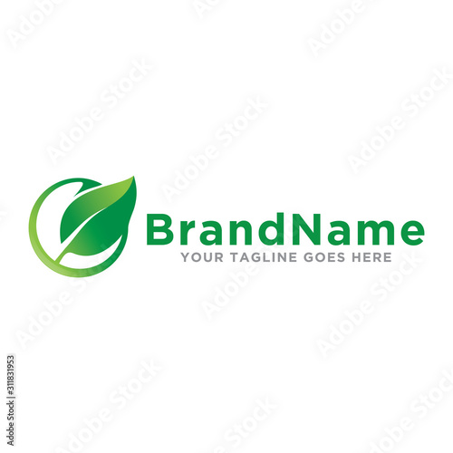 Leaf care logo icon vector. Nature leaf logo template. Trendy design on white background.