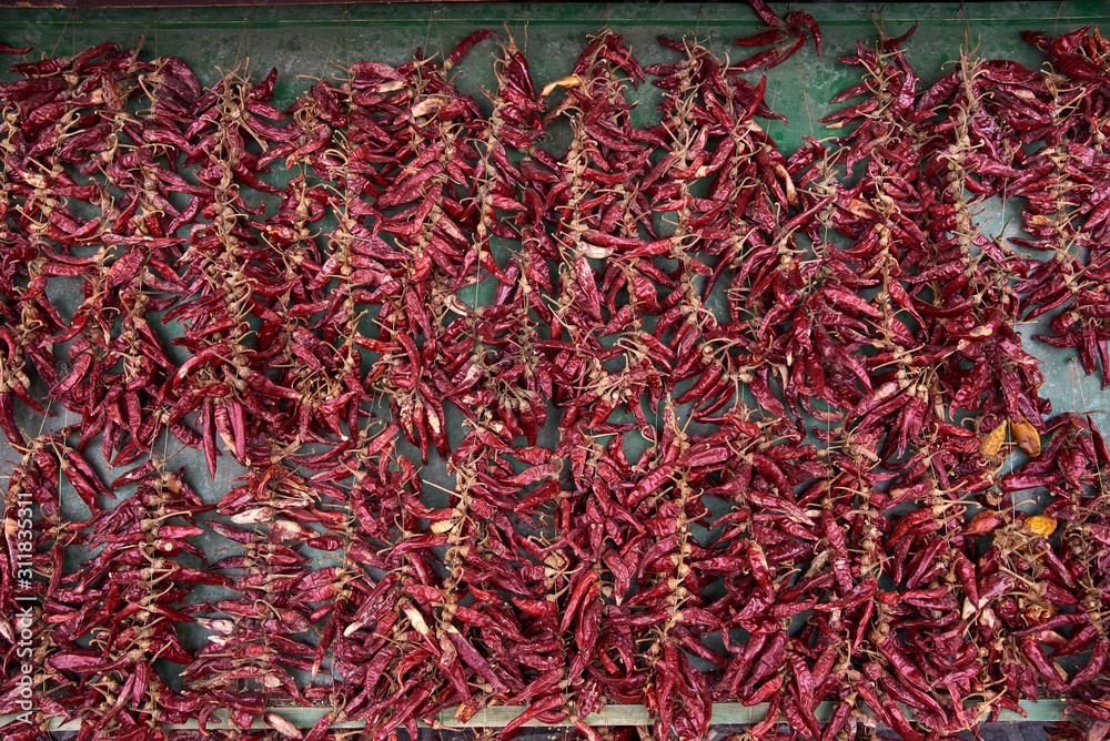 Fototapeta premium red hot chili peppers