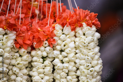 white flowers 
