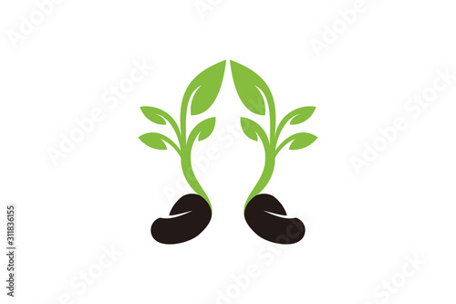 seed logo icon vector isolated