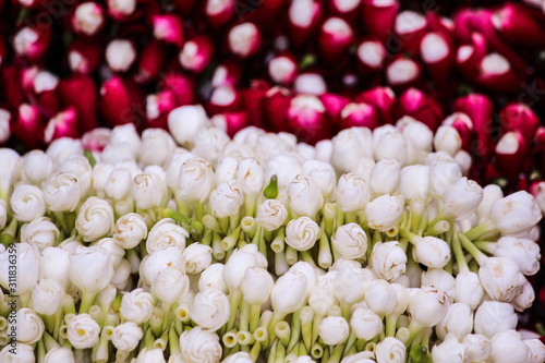 roses & tulips